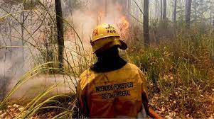 Declaran la emergencia ígnea por los incendios forestales en todo el pais
