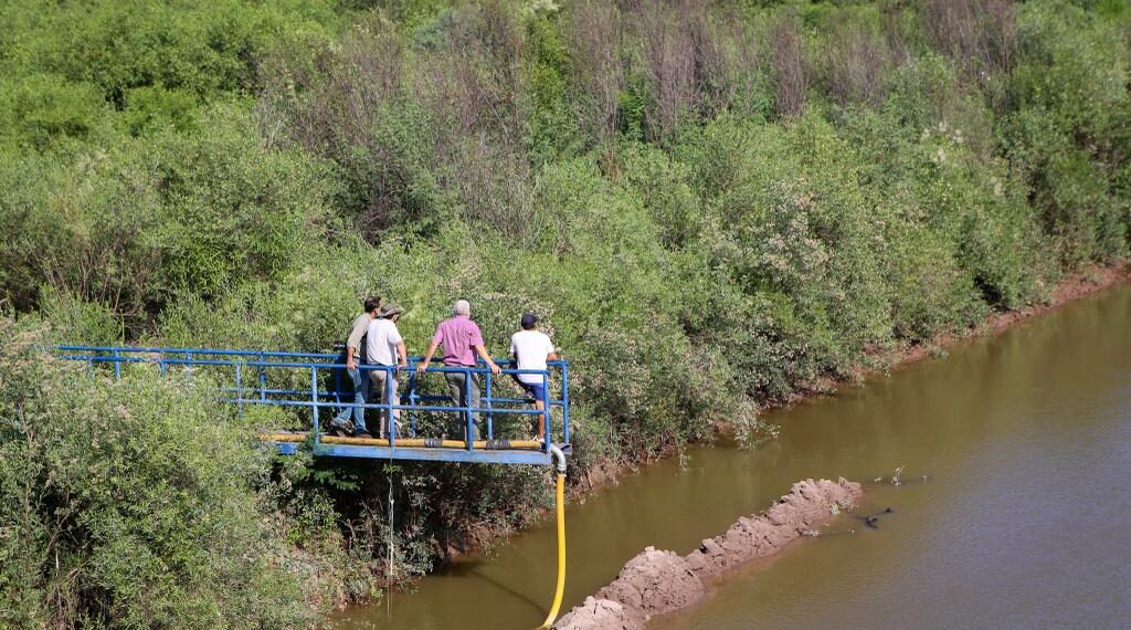 Inspección en el Cause de Río Salado por aparición de peces muertos