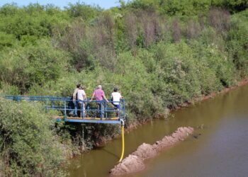 Inspección en el Cause de Río Salado por aparición de peces muertos