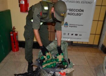 Interceptan colectivo con más de 200 kilos de hojas de coca en la bodega