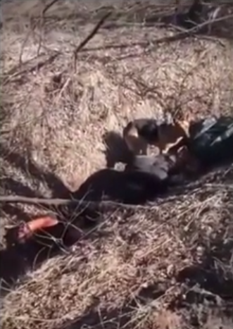 Horror: tropas rusas habrían asesinado a una familia ucraniana, en un brutal crimen de guerra