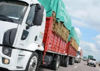 El Gobernador Gerardo Zamora comunicó que partió hacía Corrientes 20 equipos con 450 toneladas de alfalfa Santiagueñas