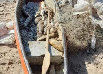 NUEVOS OPERATIVOS DE FAUNA SORPRENDEN A PESCADORES FURTIVOS EN TELARES