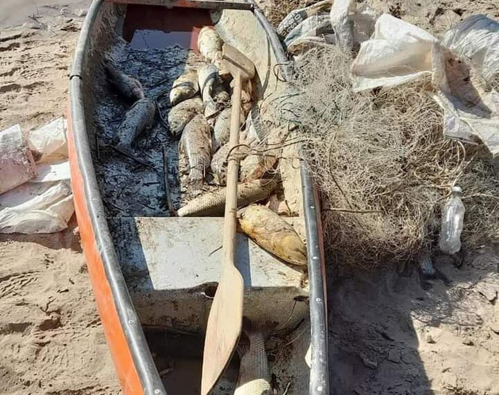 NUEVOS OPERATIVOS DE FAUNA SORPRENDEN A PESCADORES FURTIVOS EN TELARES