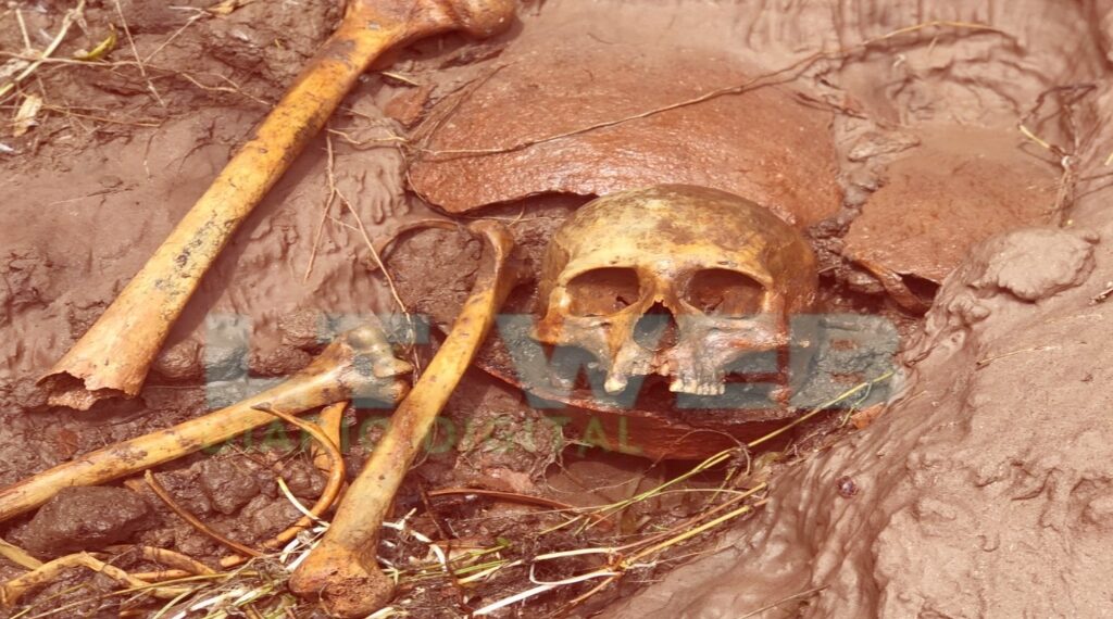 Descubrieron restos oseos en la barranca del río en el Paraje Guerra