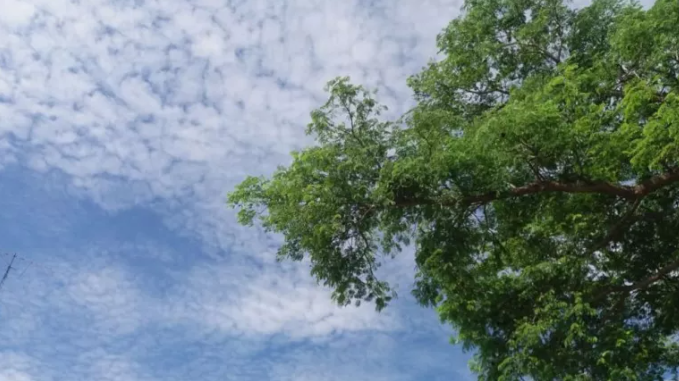 Anuncian 28º de máxima para este viernes