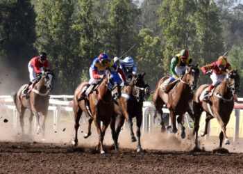 LOS TELARES Vuelven las carreras de caballos a la ciudad