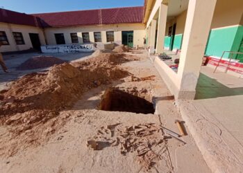 Hallan restos óseos en el patio de una escuela del interior