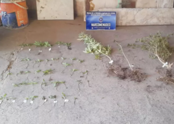 Allanan una vivienda, detienen a un sujeto y secuestran drogas