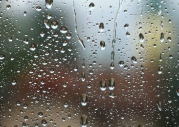 El Tiempo: Domingo de llovizna, neblina y una máxima de 15°
