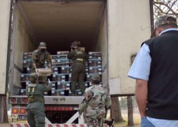 Ruta 34: detectan un camión con 100 kilos de cocaína entre cajones de bananas