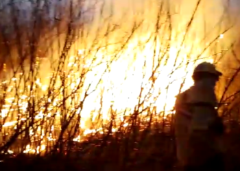 Incendio Forestal en el Paraje Saladillo del Rosario Dpto. Salavina