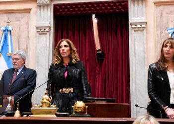 Claudia Zamora presidió la sesión en la que el Senado dio media sanción a la ampliación de la Corte Suprema