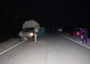 Una vaca provocó accidente en la ruta Nº 92 cerca del Pje. Saladillo del Rosario