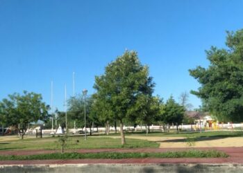 Un martes soleado y con una máxima de 29º