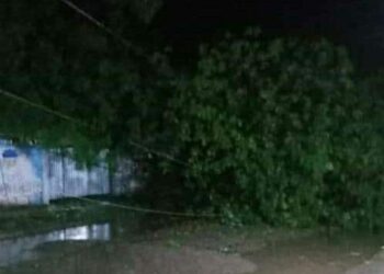 Un fuerte temporal provocó destrozos y generó temor en Tintina Dpto. Moreno