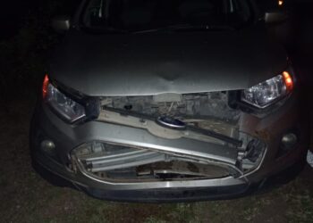 Viajantes formoseños sufrieron accidente de tránsito en la ruta 92 al colisionar con un ternero