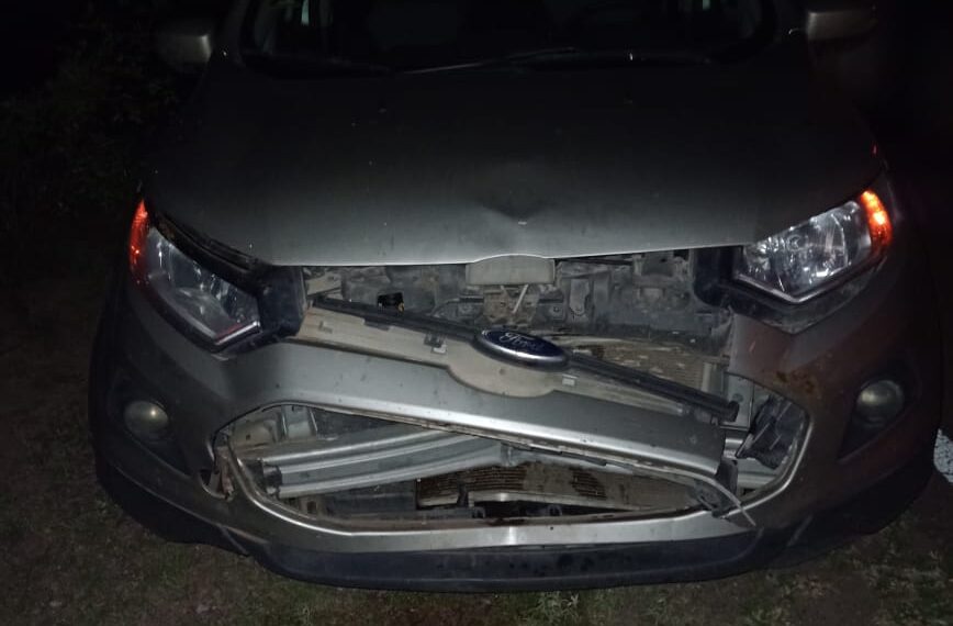 Viajantes formoseños sufrieron accidente de tránsito en la ruta 92 al colisionar con un ternero