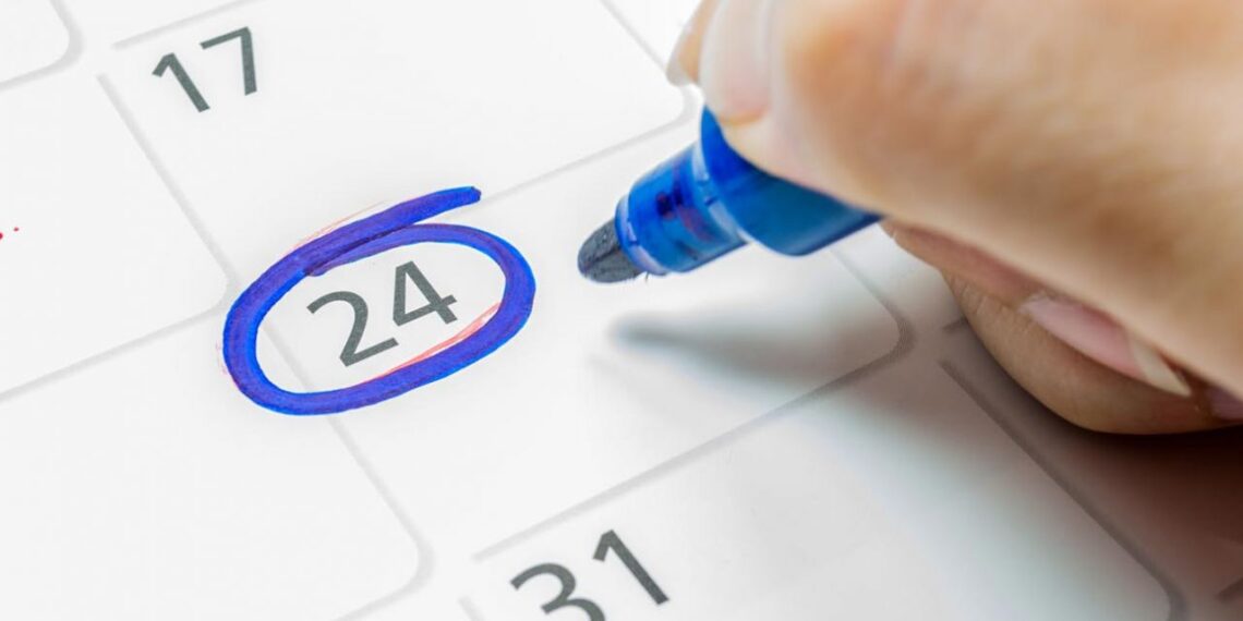 Cómo será la actividad durante el viernes 24 por el feriado nacional