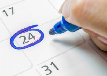 Cómo será la actividad durante el viernes 24 por el feriado nacional