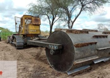 La Dirección de Bosques y Fauna detuvo un desmonte ilegal