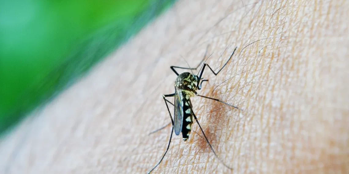 Dengue en Santiago del Estero: 5.454 casos confirmados y 2 personas fallecidas