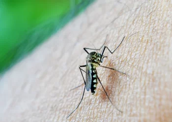 Dengue en Santiago del Estero: 5.454 casos confirmados y 2 personas fallecidas