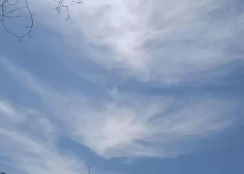 Clima en Santiago del Estero: a las 7, el termómetro marcó 0º y la térmica fue de -1.8º