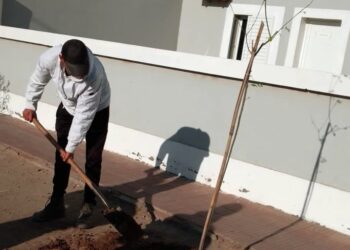 La Comisión municipal de Villa Salavina inicia el programa de forestación de espacios públicos