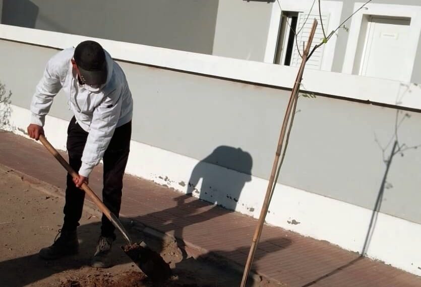 La Comisión municipal de Villa Salavina inicia el programa de forestación de espacios públicos