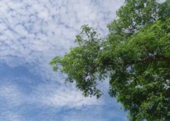 El clima en Santiago: se anuncia una máxima de 25º y ráfagas de hasta 60 k/h