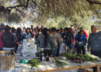 La Comisión municipal de Villa Salavina realizó la entrega de semillas del programa pro huerta