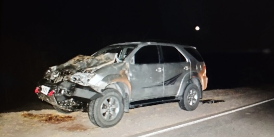 Chocaron con una vaca y se salvaron de milagro en la ruta 92