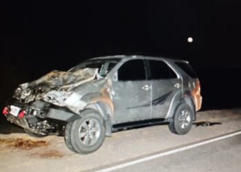 Chocaron con una vaca y se salvaron de milagro en la ruta 92