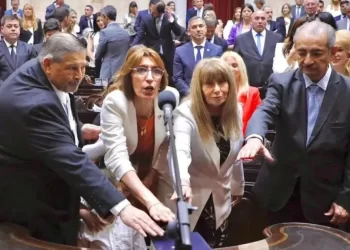 Diputados nacionales por Santiago: asumieron Gómez y Campitelli y renovaron sus mandatos Daives y Estela Neder