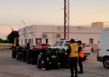 Palo Negro: secuestraron una gran cantidad de neumáticos que eran transportados ilegalmente