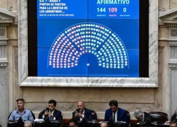 Uno por uno, así votaron los bloques de la Cámara de Diputados la Ley Ómnibus
