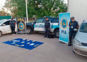Incautaron más de 8 kilos de cocaína y detuvieron a un santiagueño