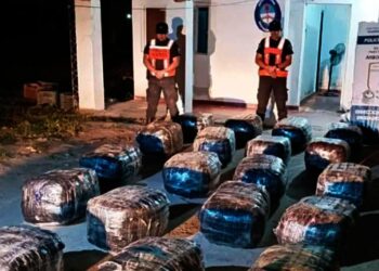 Incautan 400 kilos de hojas de coca en un operativo en ruta hacia Santiago del Estero