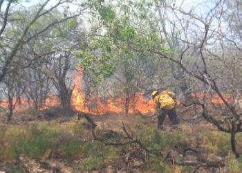 TRAS INTENSAS TAREAS DE LOS BRIGADISTAS DE OJO DE AGUA LOGRARON COMBATIR LOS INCENDIOS EN RUBIA PASO
