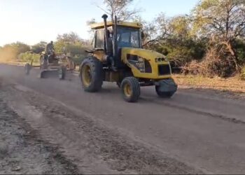 La Paliza: realizan mejoramiento de caminos y desmalezamiento