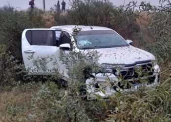 Una camioneta impactó contra un caballo suelto en la zona de Colonia Dora