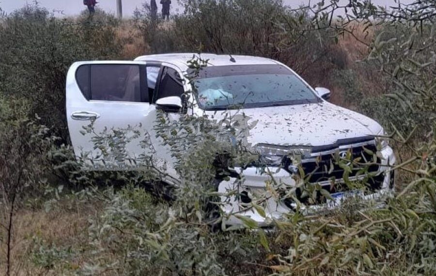 Una camioneta impactó contra un caballo suelto en la zona de Colonia Dora