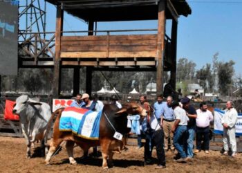 La Expo Santiago Productivo 2025 mostrará lo mejor de la producción santiagueña