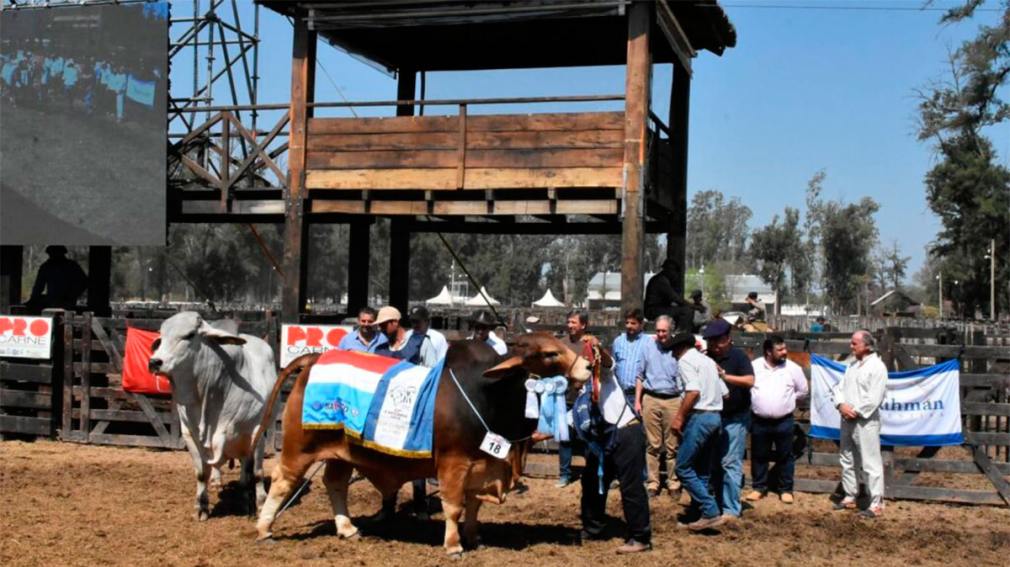 La Expo Santiago Productivo 2025 mostrará lo mejor de la producción santiagueña
