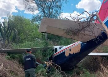 Cae una avioneta con 130 kilos de cocaína y narcos huyen hacia el norte provincial