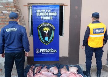 Los Telares: La Policía recuperó carne porcina que había sido robada el día ayer