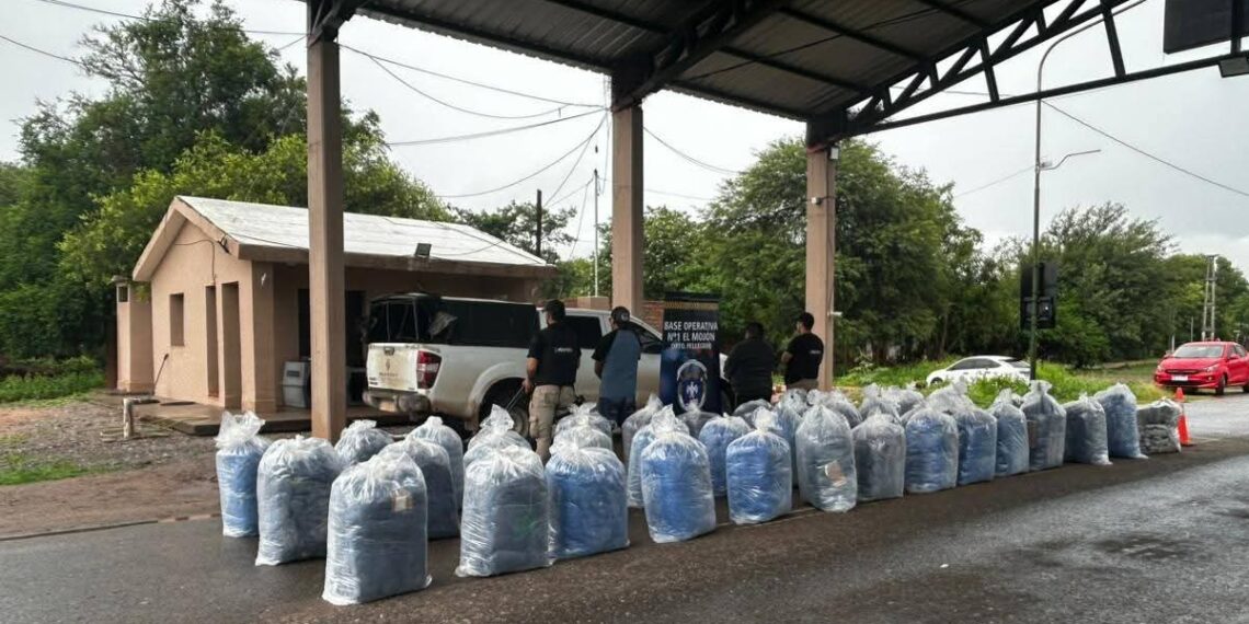 En un importante procedimiento policial interceptaron una camioneta que transportaba una gran cantidad de hoja de coca.