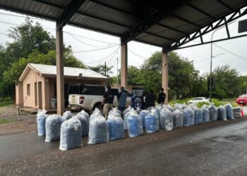 En un importante procedimiento policial interceptaron una camioneta que transportaba una gran cantidad de hoja de coca.
