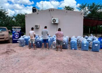 El Mojon: En un operativo secuestran gran cantidad de hojas de coca